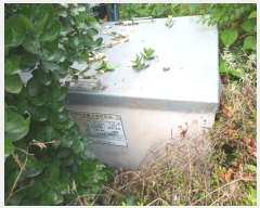  2024Ÿ936 泲 о  ¸ 568-2      ڽü,,ȣ,