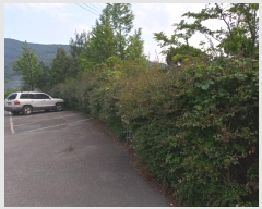  2024Ÿ936 泲 о  ¸ 568-2      ڽü,,ȣ,