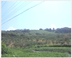  2024Ÿ1205 泲 о ʵ  575-4      (1)