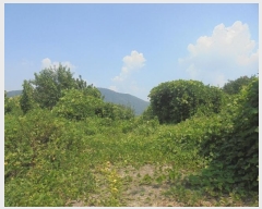  2024Ÿ1205 泲 о ʵ  575-4      (1)