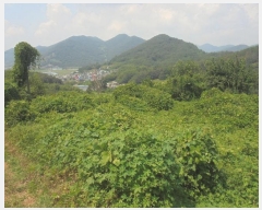  2024Ÿ1205 泲 о ʵ  575-4      (1)