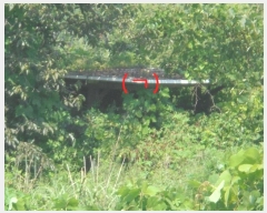  2024Ÿ1205 泲 о ʵ  575-4      (1)