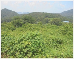  2024Ÿ1205 泲 о ʵ  575-4      (1)