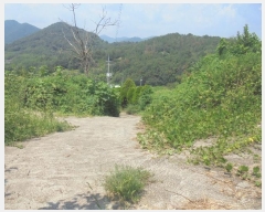  2024Ÿ1205 泲 о ʵ  575-4      (1)