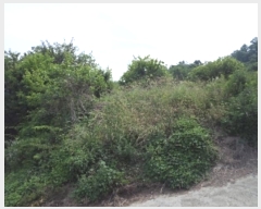  2024Ÿ1205 泲 о ʵ  575-4      (1)