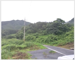  2024Ÿ1243 泲 о ܸ  377      (Ӿ)