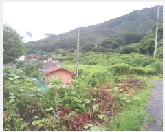  2024Ÿ1243 泲 о ܸ  377      (Ӿ)