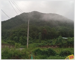  2024Ÿ1243 泲 о ܸ  377      (Ӿ)