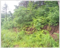  2024Ÿ1243 泲 о ܸ  377      (Ӿ)