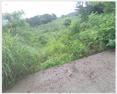  2024Ÿ1243 泲 о ܸ  377      (Ӿ)