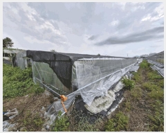  2024Ÿ1632 泲 â籺  а踮 1255-2      ()