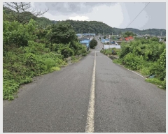  2024Ÿ1632 泲 â籺  а踮 1255-2      ()