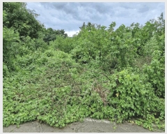  2024Ÿ1632 泲 â籺  а踮 1255-2      ()