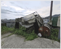  2024Ÿ1632 泲 â籺  а踮 1255-2      ()