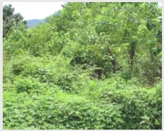  2024Ÿ1632 泲 â籺  а踮 1255-2      ()