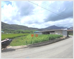  2024Ÿ1663 泲 о 󵿸  1736      ()