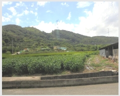  2024Ÿ1663 泲 о 󵿸  1736      ()