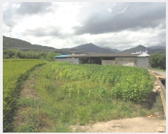  2024Ÿ1663 泲 о 󵿸  1736      ()