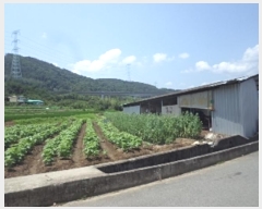  2024Ÿ1663 泲 о 󵿸  1736      ()