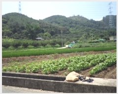  2024Ÿ1663 泲 о 󵿸  1736      ()