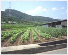  2024Ÿ1663 泲 о 󵿸  1736      ()