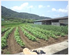  2024Ÿ1663 泲 о 󵿸  1736      ()