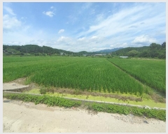  2024Ÿ1755 泲 â籺 帶 尡 188-1      (1)