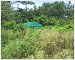  2024Ÿ1755 泲 â籺 帶 尡 18-6      (Ӿ)