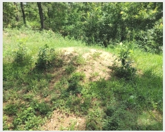  2024Ÿ1755 泲 â籺 帶 尡 18-6      (Ӿ)