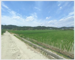  2024Ÿ1755 泲 â籺 帶 尡 18-6      (Ӿ)