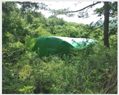  2024Ÿ1755 泲 â籺 帶 尡 18-6      (Ӿ)