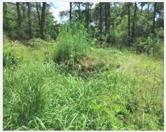  2024Ÿ1755 泲 â籺 帶 尡 18-6      (Ӿ)