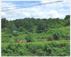  2024Ÿ1755 泲 â籺 帶 尡 18-6      (Ӿ)