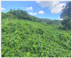  2024Ÿ1786 泲 о 󳲸 긮 1005      (1)