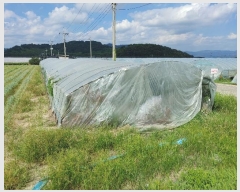  2024Ÿ1786 泲 о 󳲸 긮 1005      (1)