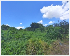  2024Ÿ1786 泲 о 󳲸 긮 1005      (1)