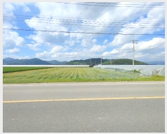  2024Ÿ1786 泲 о 󳲸 긮 1005      (1)