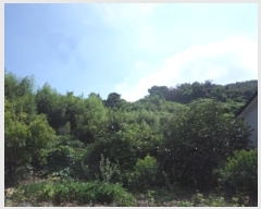  2024Ÿ1786 泲 о 󳲸 긮 1005      (1)