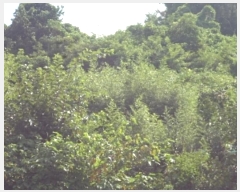  2024Ÿ1786 泲 о 󳲸 긮 1005      (1)