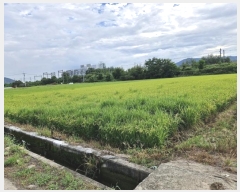  2024Ÿ2192 泲 о  õ 1382      ()