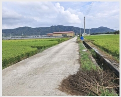  2024Ÿ2192 泲 о  õ 1382      ()