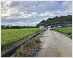  2024Ÿ2192 泲 о  õ 1382      ()