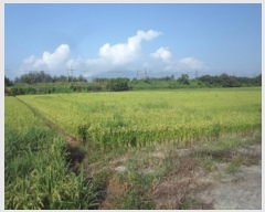  2024Ÿ2192 泲 о  õ 1382      ()