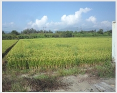  2024Ÿ2192 泲 о  õ 1382      ()