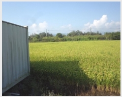  2024Ÿ2192 泲 о  õ 1382      ()