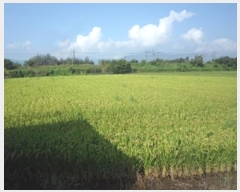  2024Ÿ2192 泲 о  õ 1382      ()