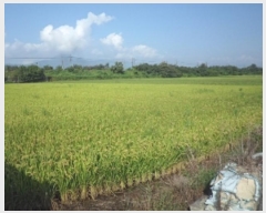  2024Ÿ2192 泲 о  õ 1382      ()