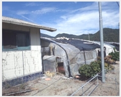  2024Ÿ��2239  ���ð��