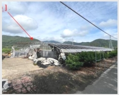  2024Ÿ��2239  ���ð��