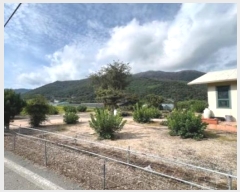  2024Ÿ��2239  ���ð��